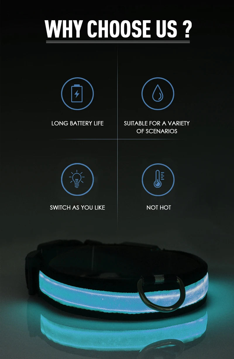 BrightHound™ LED Dog Collar