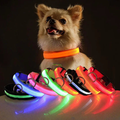 BrightHound™ LED Dog Collar