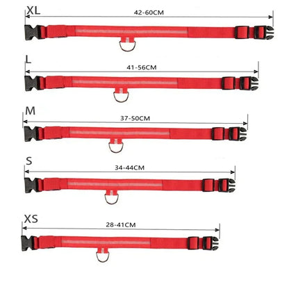 BrightHound™ LED Dog Collar