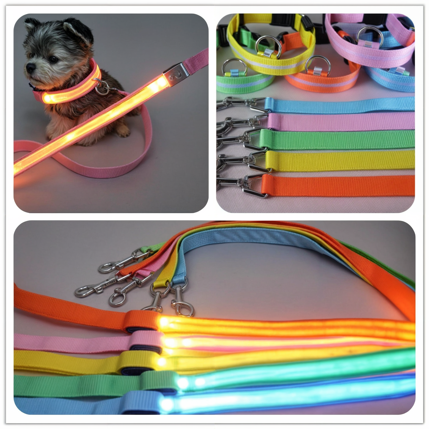 LucentLeash™ LED Safety Leash